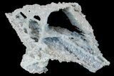 6.1" Fibrous Blue Chalcedony Formation - India - #178448-1